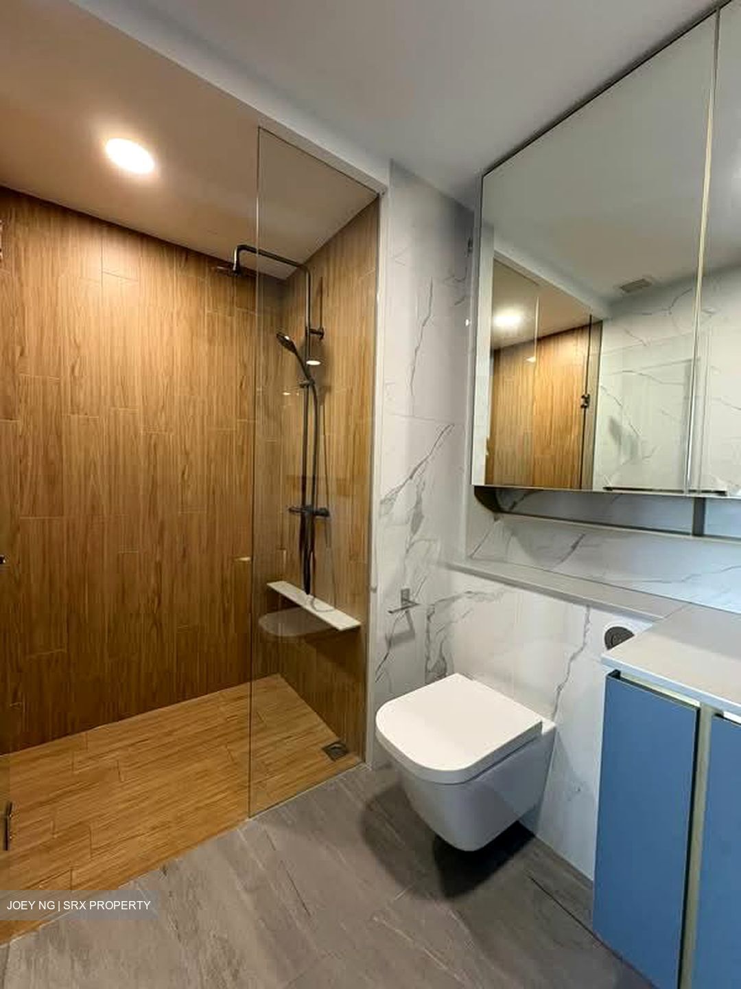Amo Residence (D20), Apartment #541164211